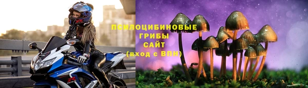 ешки Беломорск
